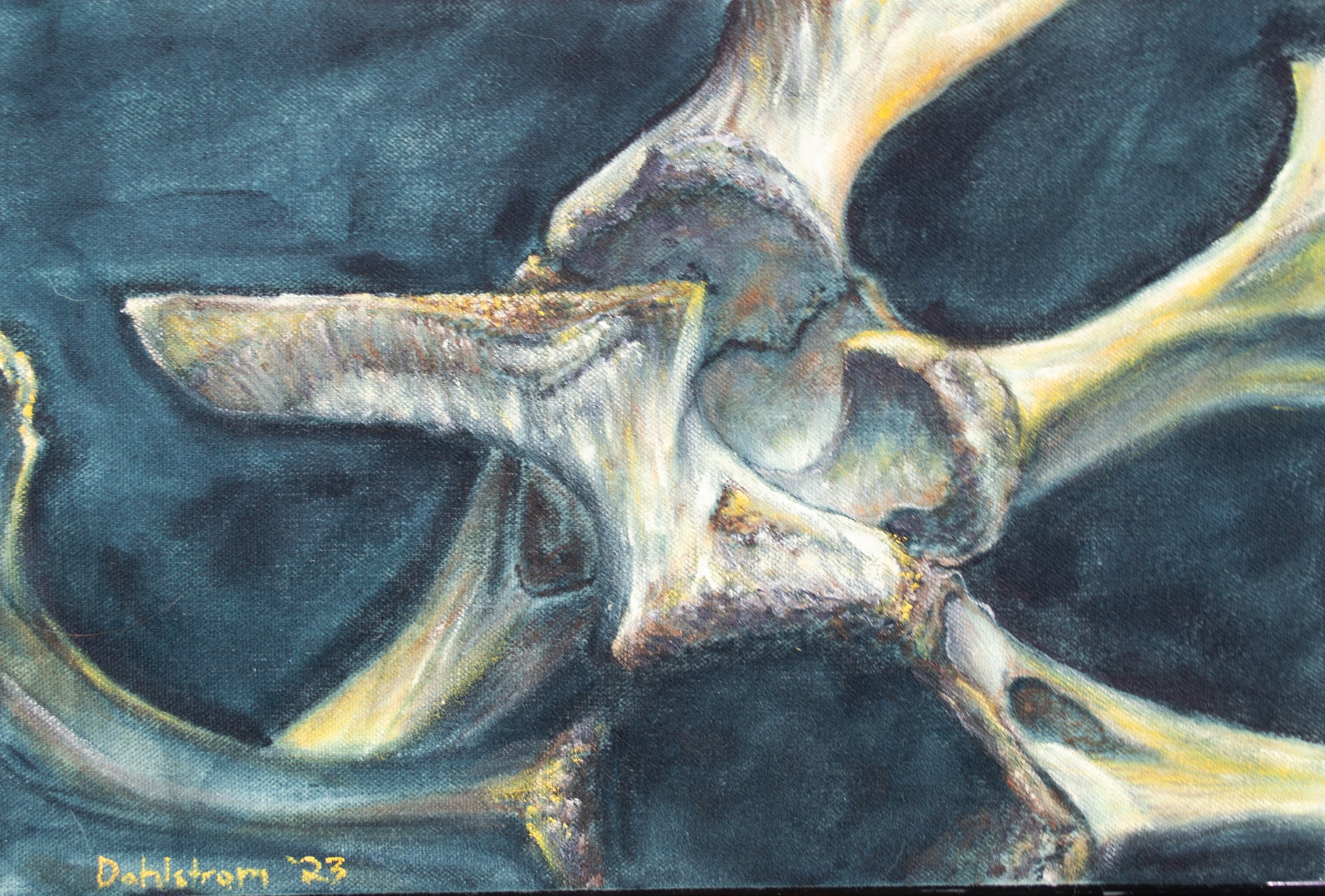 "Blue Deer Hip Study No. 1" Original Oil Painting