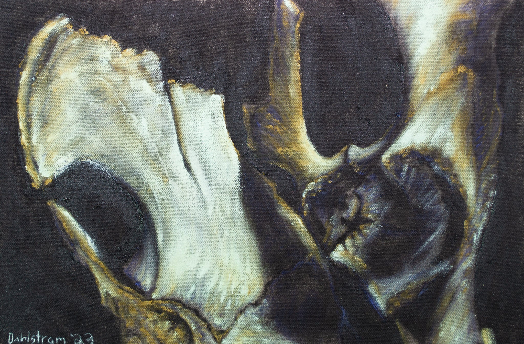 "Black Deer Hip Study No. 1" Original Oil Painting