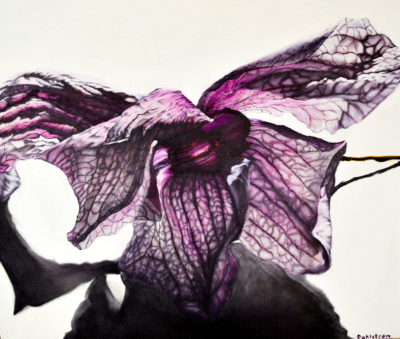 "Dried Orchid" Gilcee Print